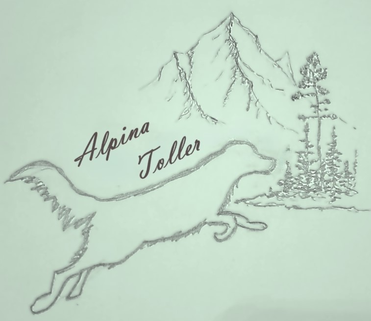 Alpina Toller Logo